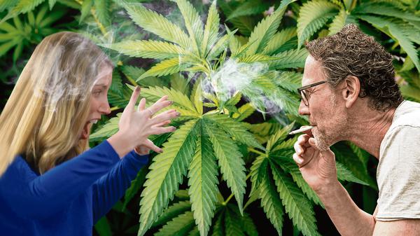 medical-cannabis-crop-almost_sabine.jpg