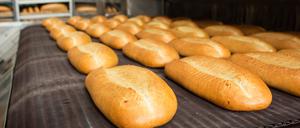 Fresh hot baked bread loafs on the production line
