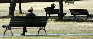 Während ein Besucher bei Temperaturen um 31 Grad den Platz in der prallen Sonne bevorzugt, sitzt ein anderer Besucher lieber im Schatten auf einer Bank im Tiergarten. 