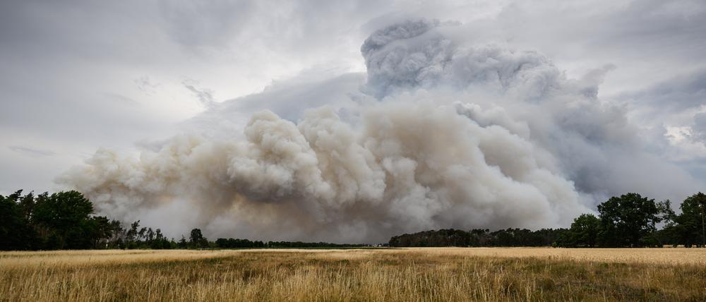 Rauch steigt aus einem Waldbrandgebiet in der Gohrischheide in den Himmel.