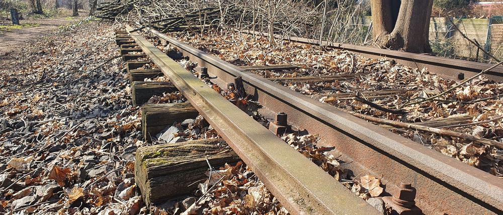 Die Gleise der Stammbahn liegen noch zwischen Zehlendorf und Düppel. Der letzte Zug fuhr vor 42 Jahren.