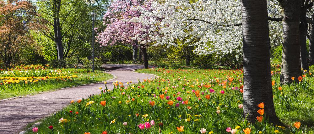 Ein Ausflugsklassiker: der Britzer Garten, wo es Frühlingsblumen, eine Tulpenschau und Nachwuchs bei den Schafen zu bestaunen gibt.