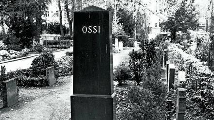 In Stein gemeißelt? Die Bezeichnungen „Ossi“ und „Wessi“ sollten nach fast 30 Jahren Einheit vielleicht mal begraben werden.