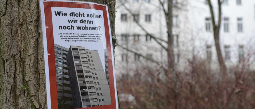 Naturschutz oder Wohnungsbau? Das ist oft die Frage in Berlin.