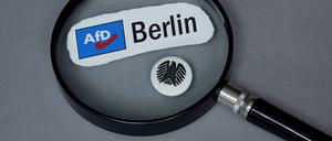 Eine Lupe auf dem Logo der Berliner AfD und dem Bundesadler.