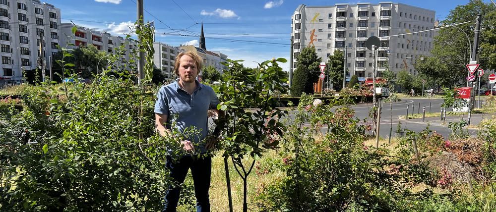 Tobias Sierig auf der von ihm bepflanzten Fläche am Bersarinplatz