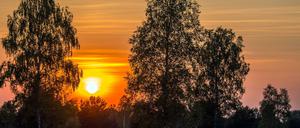 Sommer-Wehmut beim Sonnenuntergang im Naturschutzgebiet der Reicherskreuzer Heide nahe Pinnow.
