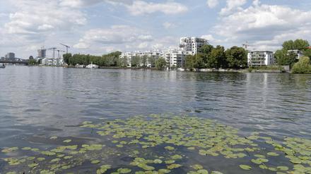 Die Spree in Berlin fließt im Sommer fast nicht. Verschmutztes Wasser bleibt also lange in der Stadt.