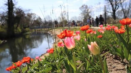 Mehr als 100.000 Menschen haben sich die Landesgartenschau Beelitz bisher angesehen.
