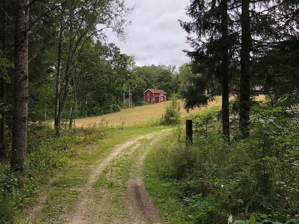 Ganz klar Schweden: rotes Landhaus zwischen Wäldern.