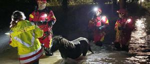 Zwei Ponys konnten von der Tierrettung Essen Freitagnacht aus den Fluten gerettet werden.