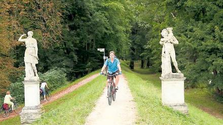 Hübsch flankiert. Der Fürst-Franz-Radweg in Sachsen-Anhalt führt zu den schönsten Plätzen im Gartenreich Dessau-Wörlitz.