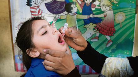 Schluckimpfung gegen Kinderlähmung. In Pakistan zirkuliert immer noch ein Polio-Wildtyp.