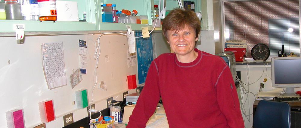 Kämpferin im Labor: Vierzig Jahre lang forschte Katalin Karikó an der Technologie, die im Biontech-Impfstoff steckt.
