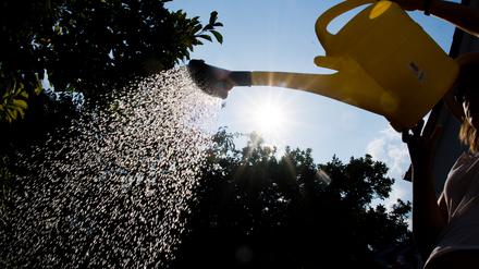 Eine Frau steht mit einer Gießkanne in einem Garten und gießt Pflanzen. (zu dpa «Hilferuf wegen Trockenheit: Straßenbäume gießen») +++ dpa-Bildfunk +++