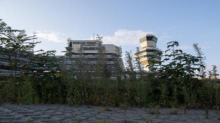 Hinter Wildblumen und Gräsern ist das Gebäude des ehemaligen Flughafen Tegel zu sehen. 