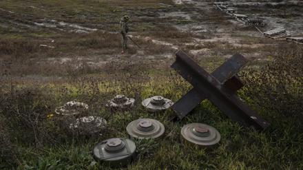 Ein ukrainischer Soldat sucht auf dem Feld eines kürzlich befreiten Dorfes am Rande von Cherson nach Minen. 