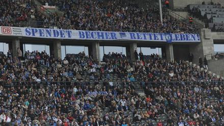 Einmal im Jahr rufen die Harlekins bei Hertha BSC zu Becherspenden auf und unterstützen damit Krebshilfeorganisationen. 