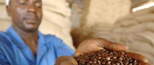 In den Gebieten des Kaffeeanbaus wie hier in Kinshasa in der Demokratischen Republik Kongo hängen viele Existenzen von der Produktion ab.