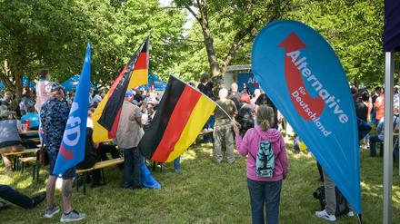 Teilnehmer einer AfD-Kundgebung am 70. Jahrestag des Volksaufstandes in der DDR.