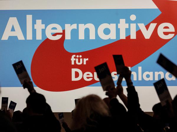 Der Landesparteitag der hessischen AfD zu Beginn diesen Jahres - bei der Landtagswahl erreichte sie mit mehr als 18 Prozent das beste Ergebnis in einem westdeutschen Bundesland.