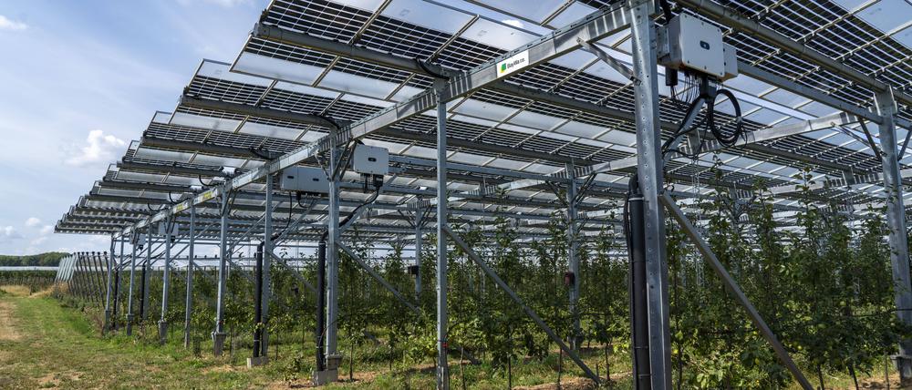 Photovoltaik könnte in Europas Landwirtschaft bald eine wichtige Rolle spielen.