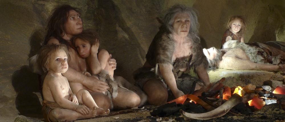 In den Höhlen der Neandertaler wurde nicht nur Fleisch, sondern auch vegetarisches Essen zubereitet.