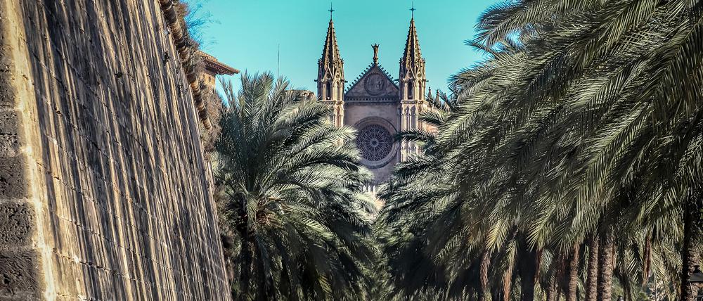 Blick auf die Palmen von Palma. 