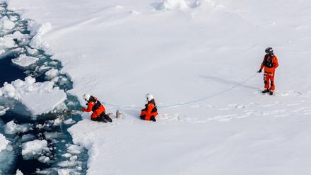 Forschende um die Biologin Melanie Bergmann vom Alfred-Wegener-Institut untersuchen auf einer Polarstern Expedition in der Arktis, wie viel Mikroplastik in Aggregaten der Eisalge Melosira arctica und dem Meerewasser direkt neben Eisschollen ist. 