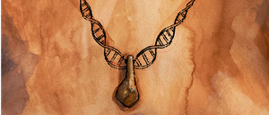 Wahrscheinlich hat die Frau den jetzt untersuchten Hirschzahn einst an einer Kette (wenn auch nicht in Form einer DNA-Helix) getragen. 