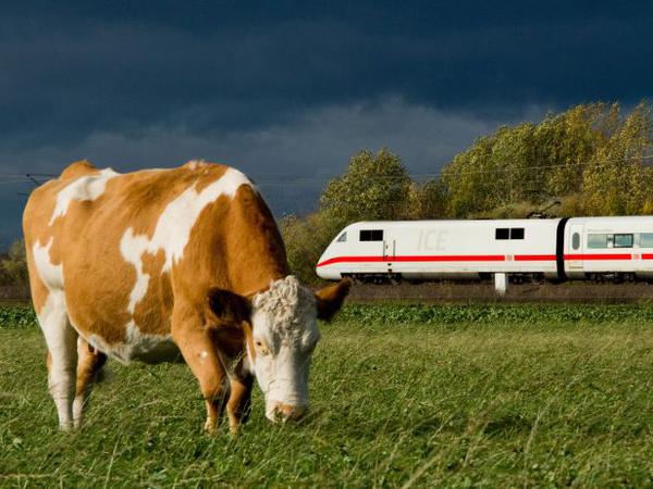Bahnstrecke Berlin-Hannover: 2027 soll Berlins wichtigste Anbindung nach Westen fünf Monate gesperrt werden. 