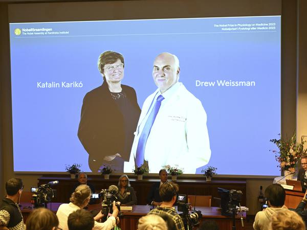 Thomas Perlmann (r), Sekretär der Nobelversammlung, verkündet die Gewinner des Nobelpreises für Medizin 2023.
