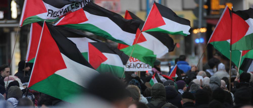 Bei propalästinensischen Demonstrationen in Berlin kommt es immer wieder zu antisemitischen Taten.