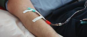 ARCHIV - 24.07.2023, Thüringen, Erfurt: Eine Venenkanüle ist an einem Arm des Spenders fixiert bei einer Blutspende in einem Raum im Hama Blutspendezentrum. (zu dpa «Blutspenden wird für schwule Männer leichter - Was das für Spender und Empfänger bedeutet») Foto: Bodo Schackow/dpa +++ dpa-Bildfunk +++