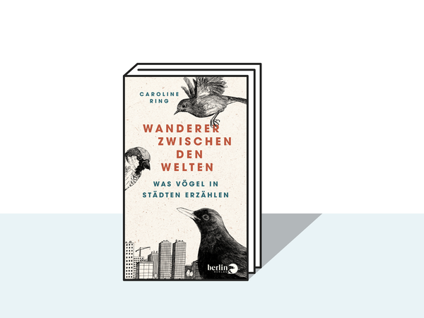 Der Text ist ein Auszug aus dem Buch „Wanderer zwischen den Welten - Was Vögel in Städten erzählen“ von Caroline Ring. Erschienen im Piper Verlag, 24 Euro.