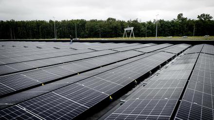Die Schwarz-Gruppe (Lidl, Kaufland) will 5000 Photovoltaikanlagen auf ihren Gebäuden installieren.