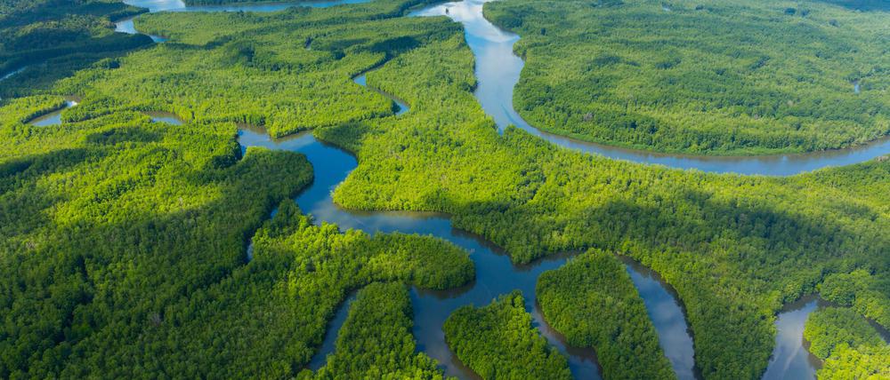 Die Flüsse und Wasserfälle in Costa Rica werden für eine nachhaltige Energiepolitik genutzt.