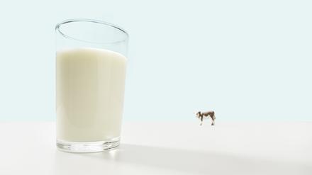 Hat die Kuh ausgedient? Die „Milch der Zukunft“ kommt aus dem stählernen Bioreaktor statt aus dem Euter.