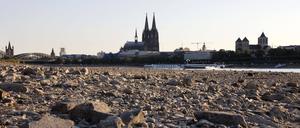 Extrem geringe Wasserstände der Flüsse im Sommer 2022 beeinträchtigten die Schiffbarkeit, wie etwa hier am Rhein bei Köln.