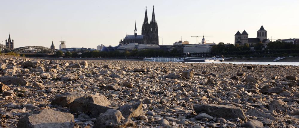 Der Rhein bei Köln hatte Mitte August starkes Niedrigwasser, er war auf unter 75 Zentimeter gefallen. Nach Niederschlägen ist der Pegel mittlerweile wieder etwas angestiegen.
