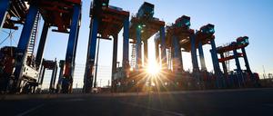 Containerterminal Burchardkai im Hamburger Hafen. Die deutsche Wirtschaft ist 2022 gewachsen.