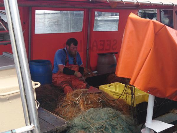 Einer der letzten seiner Art: Wenn Thomas Koldevitz mit seinem Boot im Hafen von Gager einläuft, staunen nicht nur die Touristen über seinen fast ausgestorbenen Beruf.