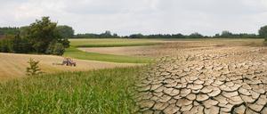 Seit fünf Jahren herrscht in großen Teilen Deutschlands Trockenheit und seit Anfang Mai ist es vor allem in Ostdeutschland, Niedersachsen und Teilen Nordbayerns extrem trocken.