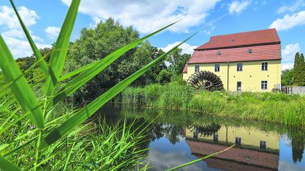 Fluss im Wandel. Malerisch liegt die Elstermühle in Plessa an der Schwarzen Elster. Der 179 Kilometer lange Nebenfluss der Elbe, der von Sachsen über Brandenburg nach Sachsen-Anhalt fließt, führt seit Jahren aufgrund der anhaltenden Trockenheit immer weniger Wasser.