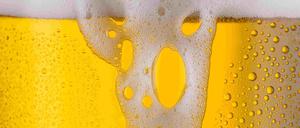 Die im Hopfen enthaltenen Alphasäuren geben dem Bier sein charakteristisches herbes Aroma und beeinflussen die Qualität des Getränks.