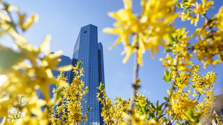 Geldinstitute wie die Deutsche Bank sehen Nachhaltigkeit als wichtigen Wachstumsbereich. Sie finanzieren gleichzeitig weiterhin fossile Projekte.