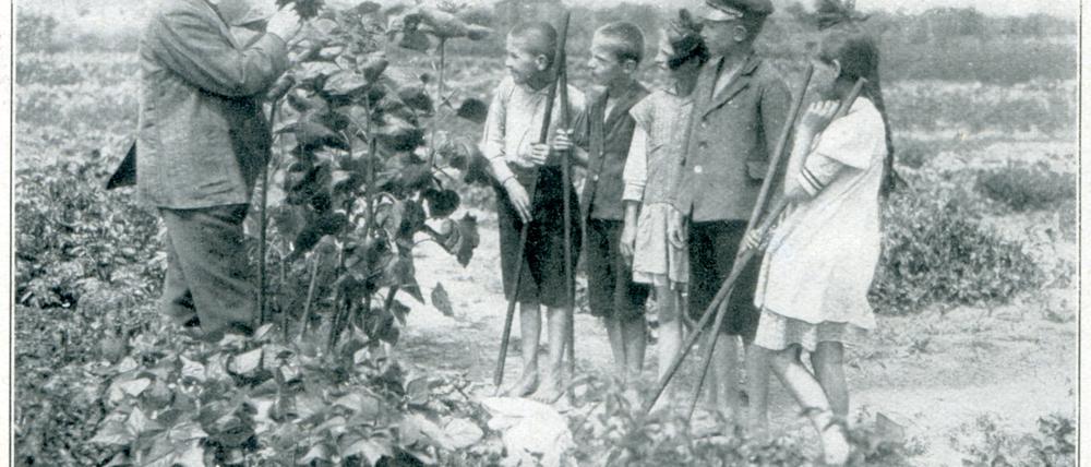 „Bei den Sonnenblumen“, nannte August Heyn dieses Foto, da in seinem Buch „Die Gartenarbeitsschule“ von 1921 erschienen war.
