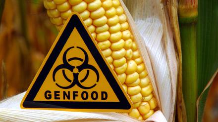 Es ist denkbar, dass gentechnisch behandelte Lebensmittel künftig nicht mehr gekennzeichnet werden müssen.