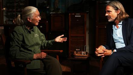 Verhaltensforscherin Jane Goodall im Gespräch mit Richard David Precht in der Jubiläumssendung zu zehn Jahre „Precht“ im ZDF