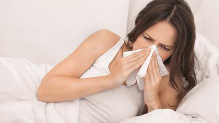 Für Allergiker werden Hausstaubmilben zur Plage